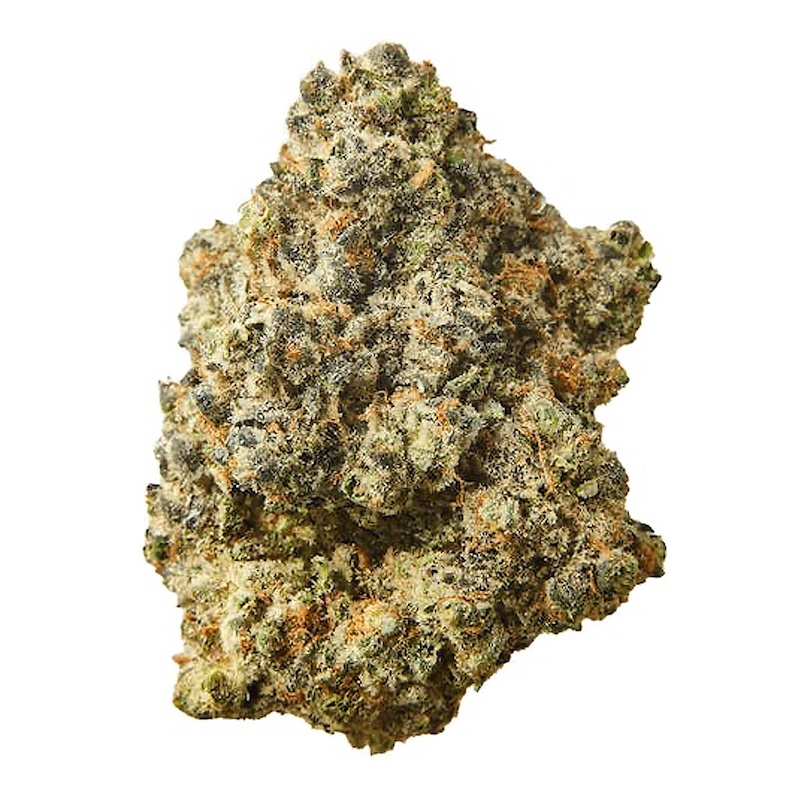 Alien Apple Fritter