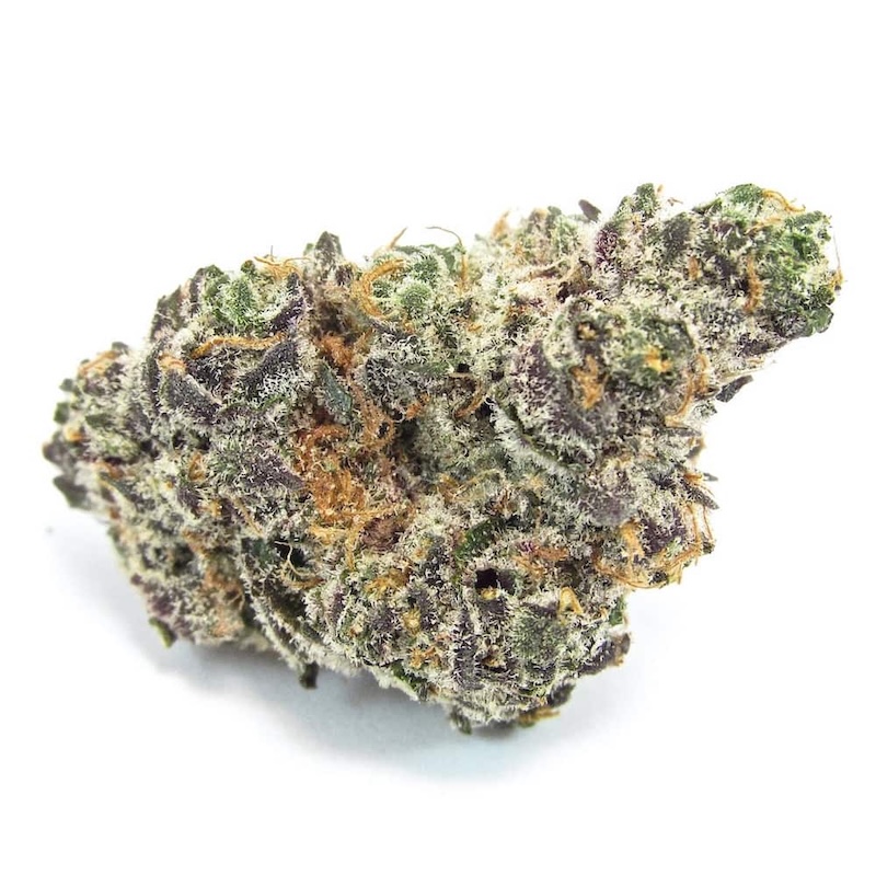 Apple Fritter