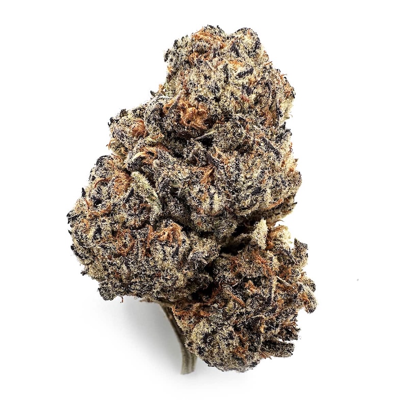 Arabian Gold