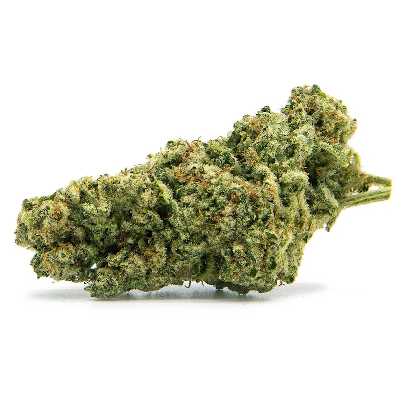 Baked Alien