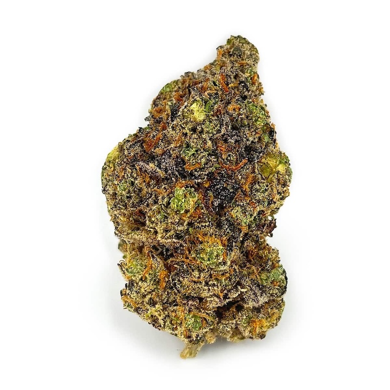 Baked in Paris