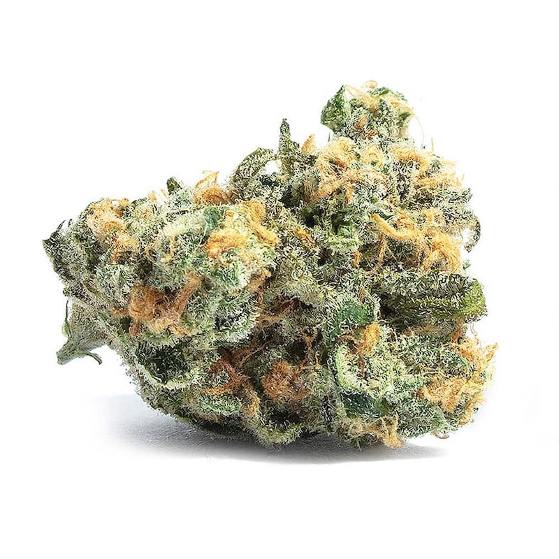 Black Truffle