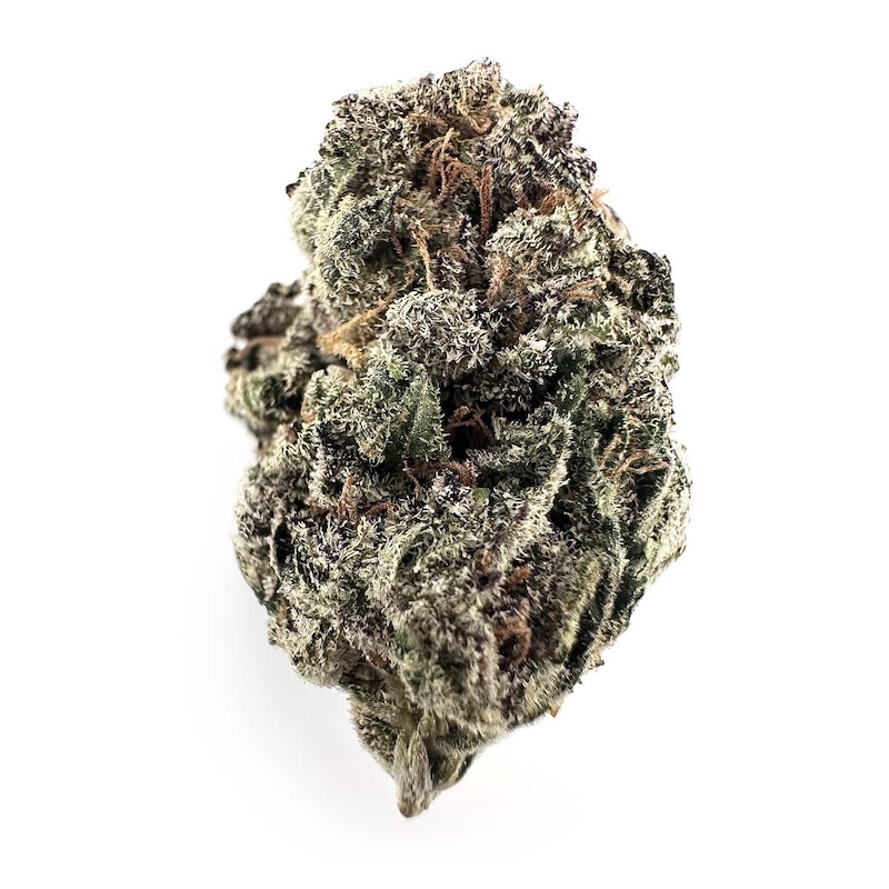 Blueberry Muffin