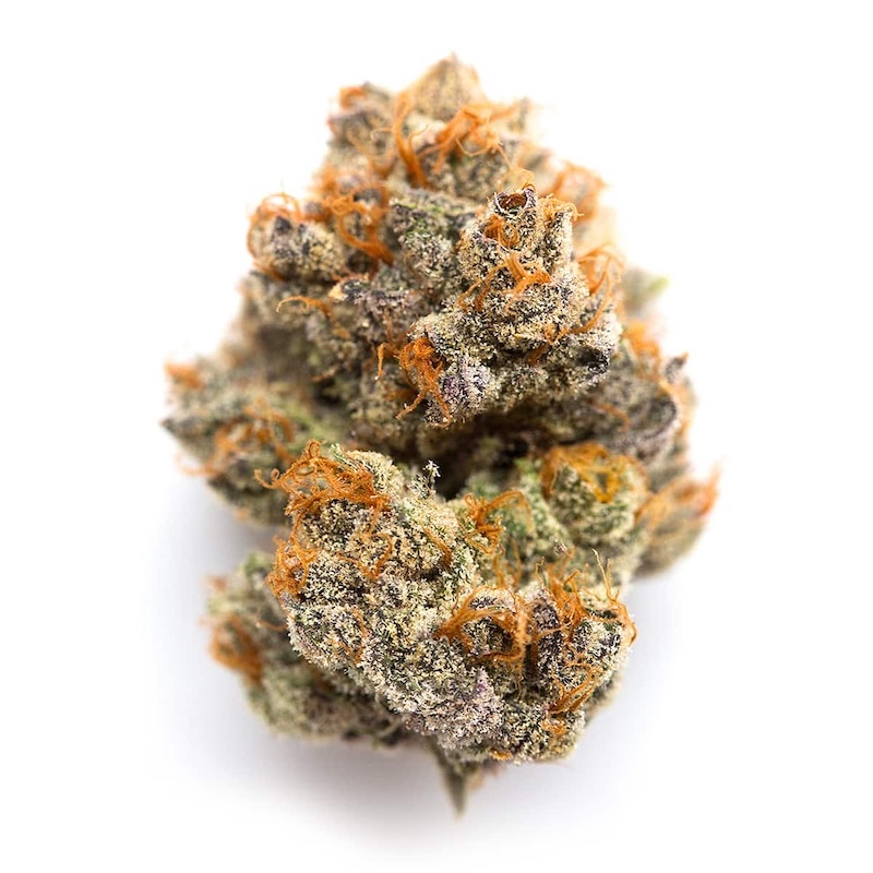 Blueberry Widow