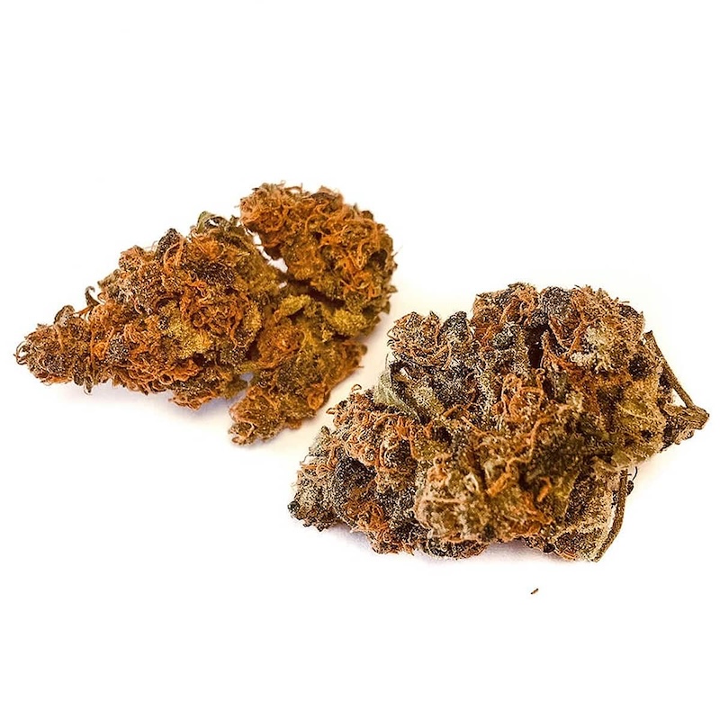 Chocolate Haze