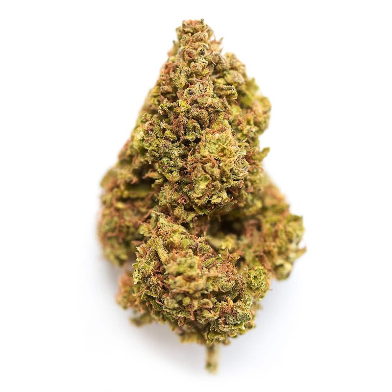 Durban Dawg