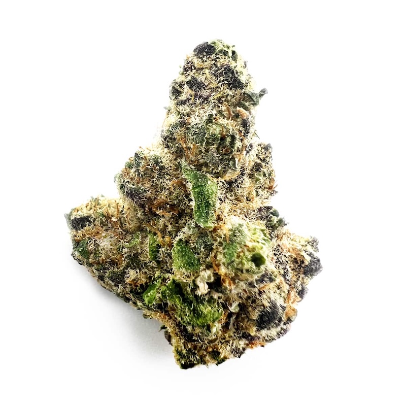 Frozen Gelato