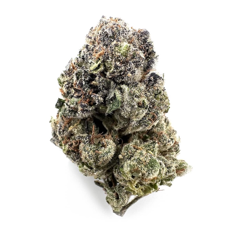 Gelato #2