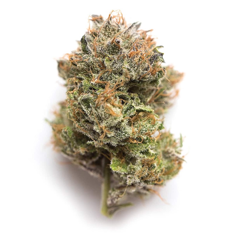 Gelato 33