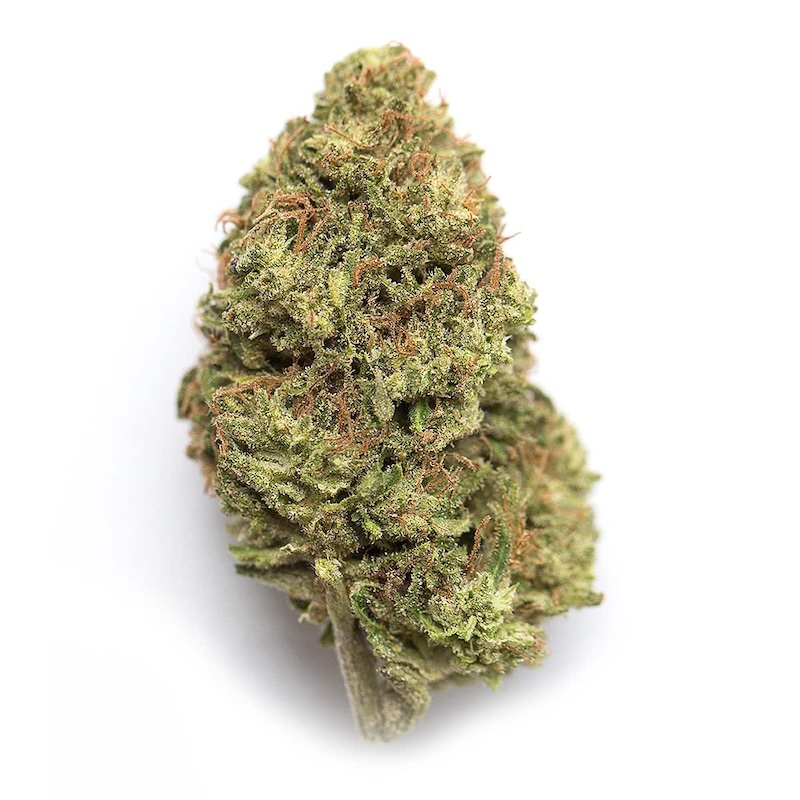 Gelato Runtz