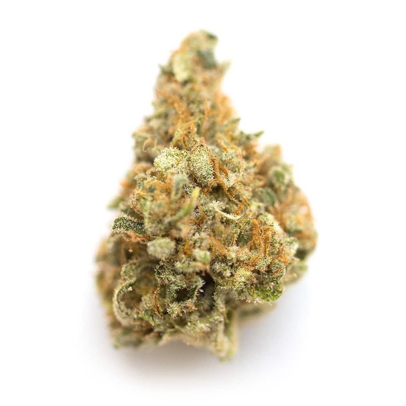 Grape Pie