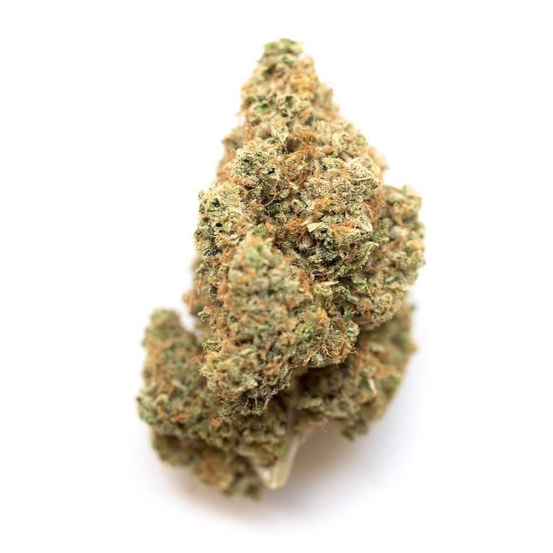 Guava Gelato