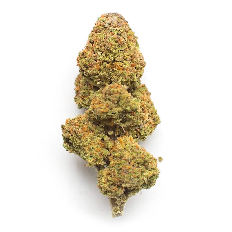 Jack The Ripper