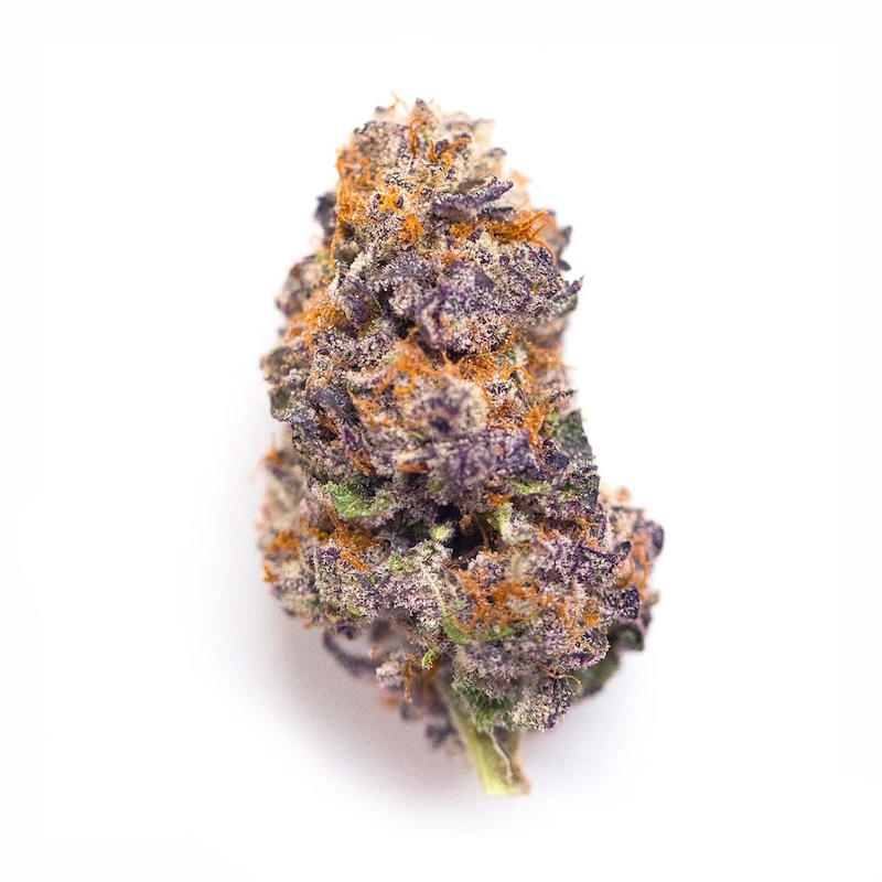 King’s Kush