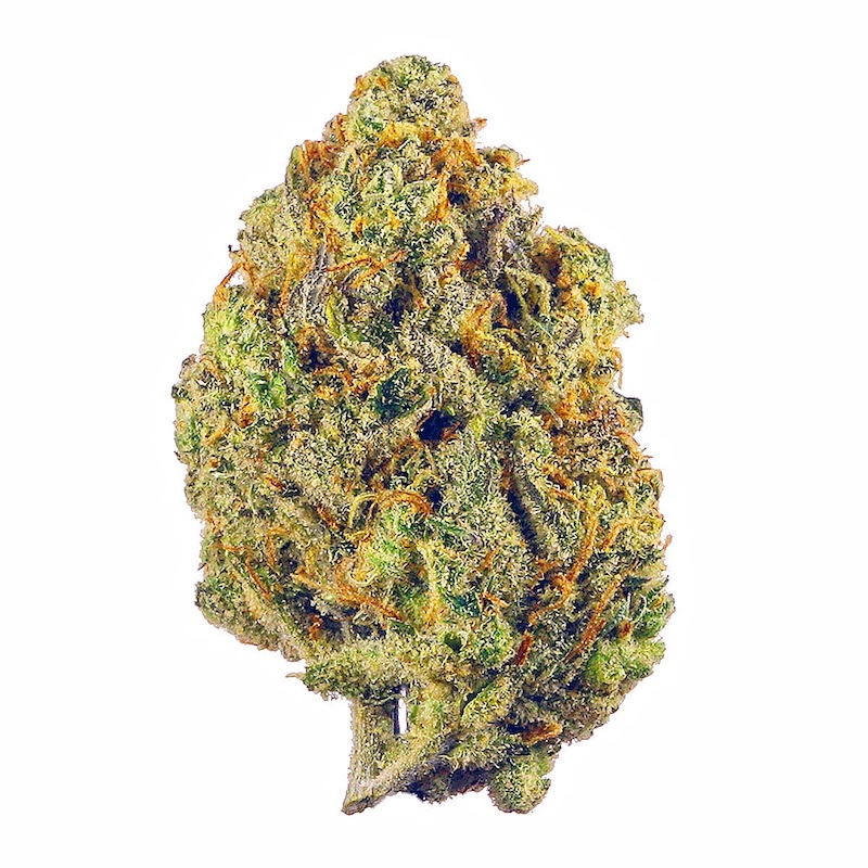 Lilac Diesel