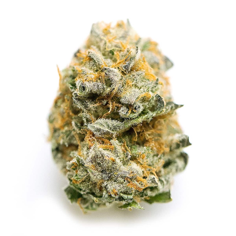Monkey Gelato