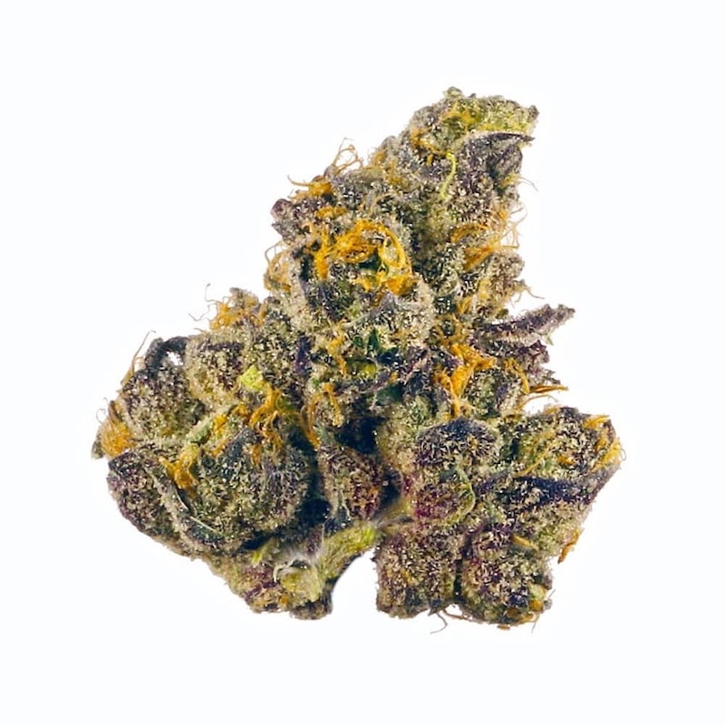 Orange Sherbet