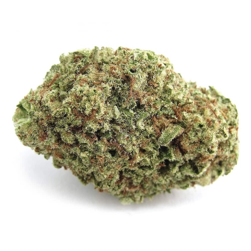 Papaya Punch